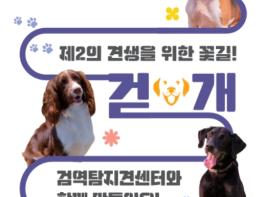 농식품부, 은퇴 검역탐지견 '알파' 미국에서 새로운 삶을 시작하다 기사 이미지